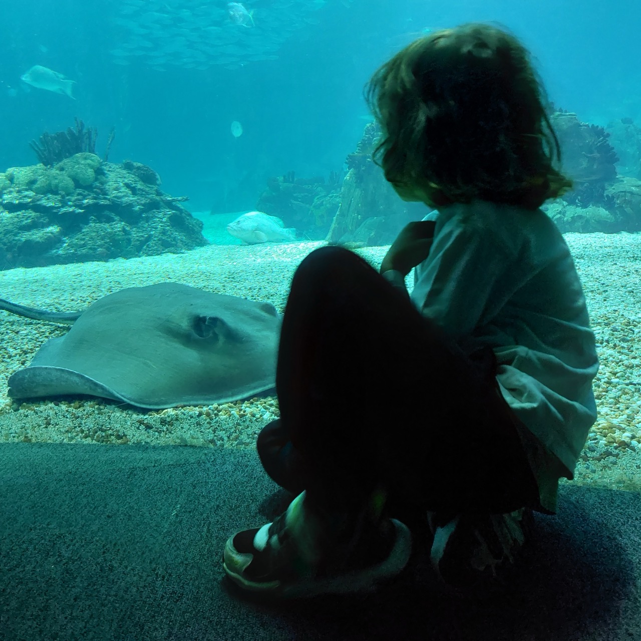 Oceanário de Lisboa