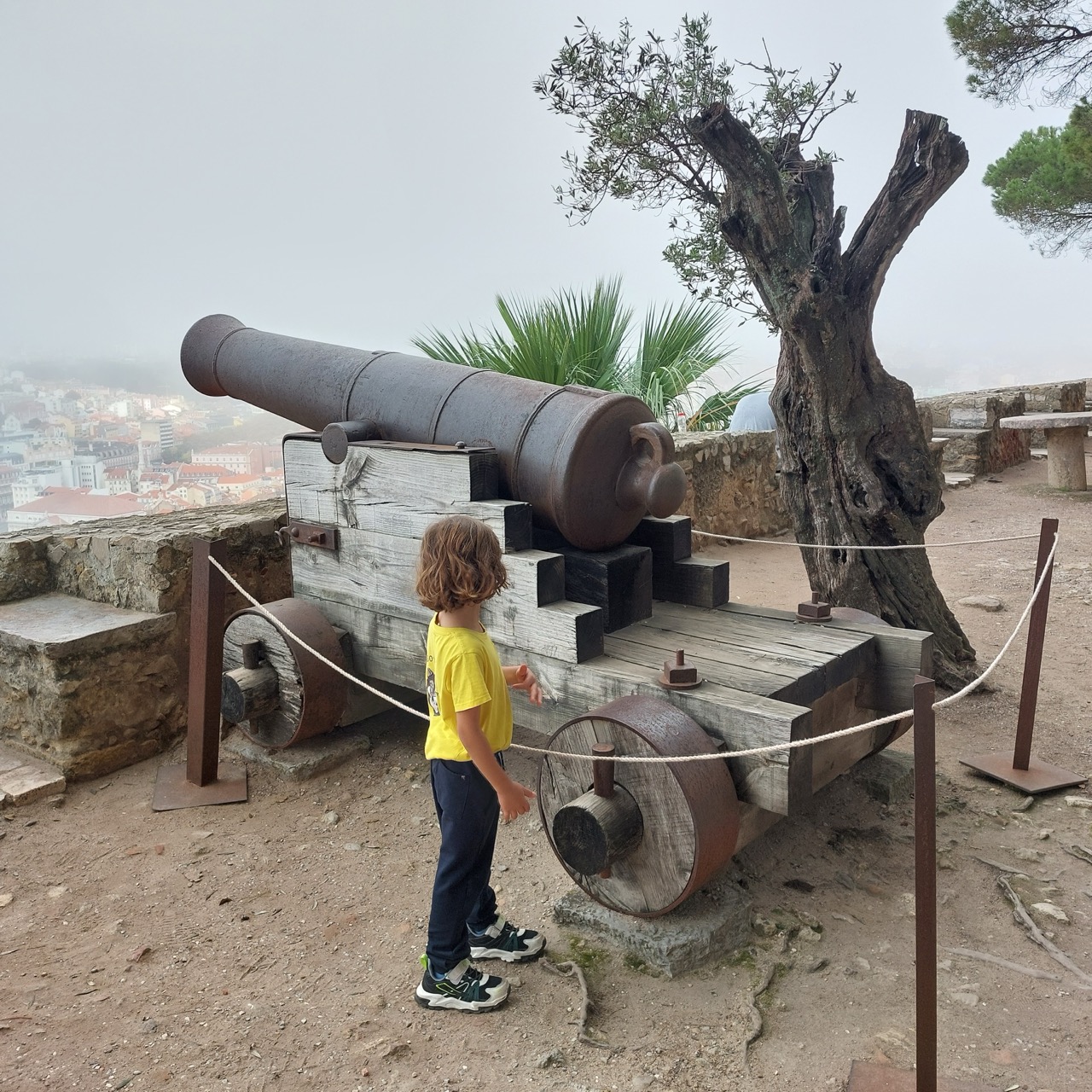 Castelo de São Jorge