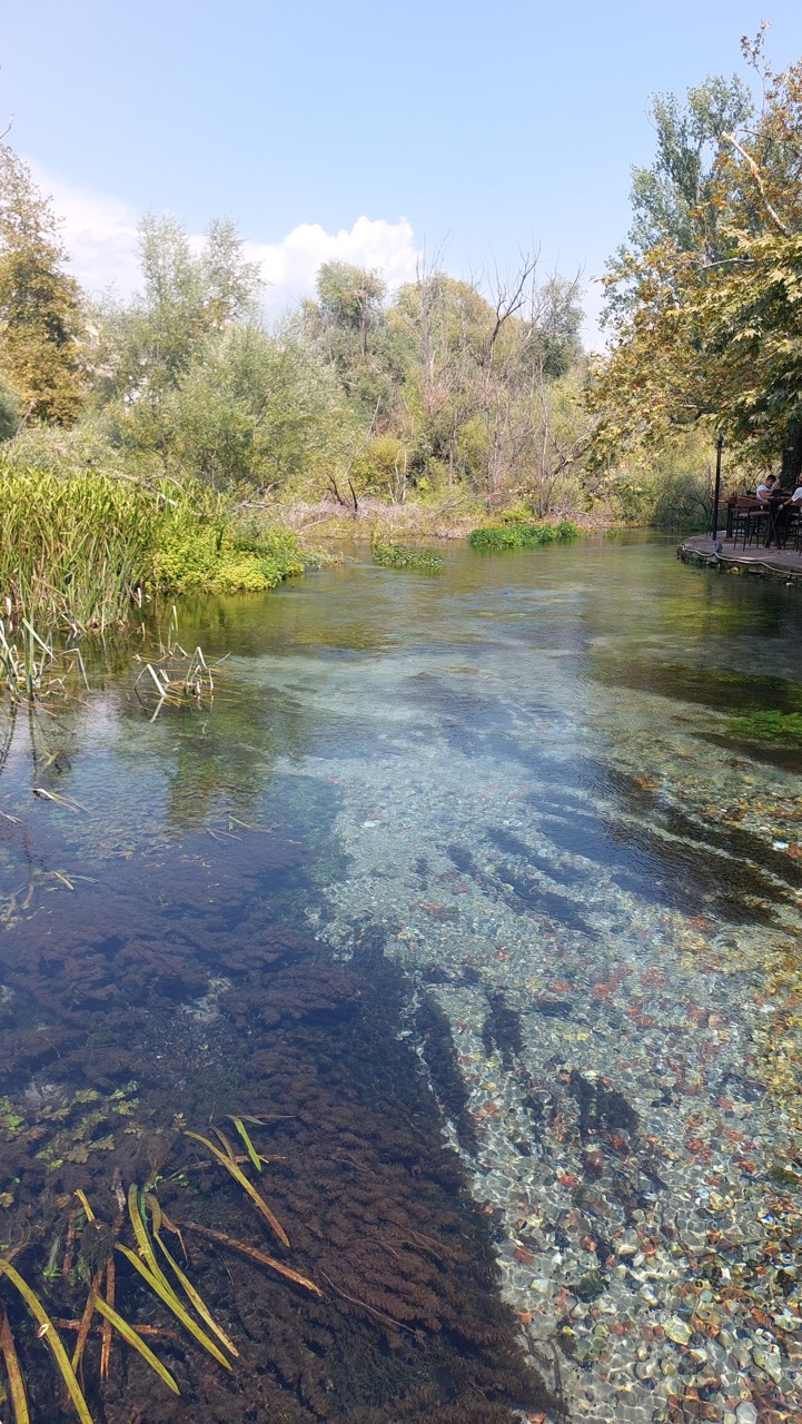 A crystal-clear spring at Agia Varvara Park in Drama, stones visible on the bottom, willows and reeds along the banks, and a cafe with people seated at tables on the right