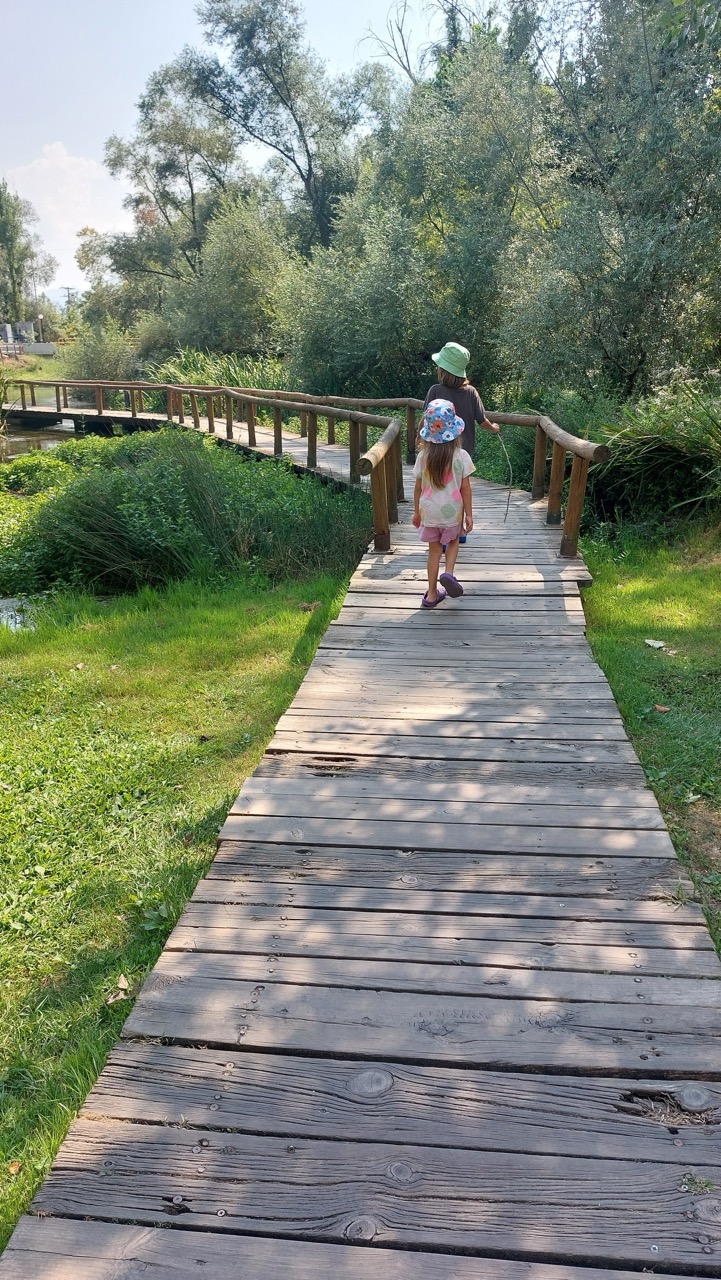 Two children in colourful bucket hats walking along a wooden boardwalk through a grassy meadow flanked by willows