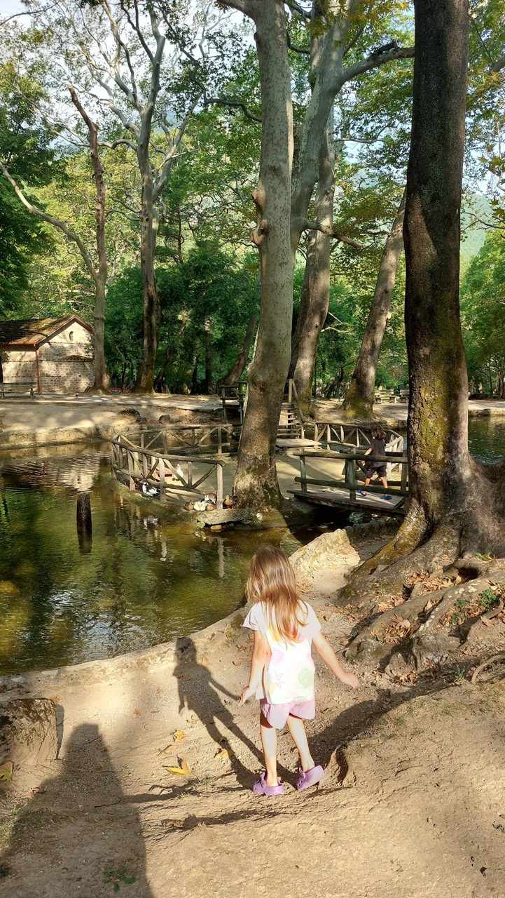 A child walking down a dirt path toward a wooden-fenced pond surrounded by huge grey plane-tree trunks, a small stone cabin visible through the trees
