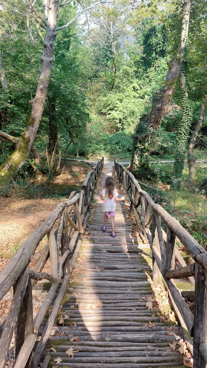 A long rustic wooden footbridge stretching through a dense green forest, a small child walking across it in the distance