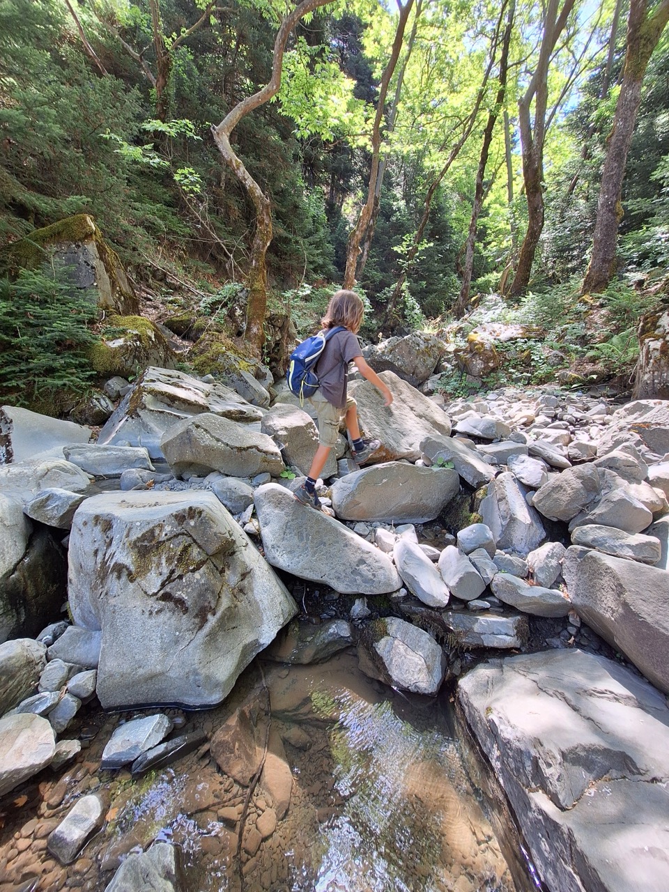A child crossing boulders in a dry riverbed under the forest canopy