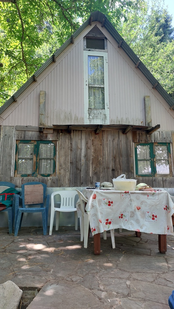 A small wooden A-frame cabin with a table set outside under walnut trees
