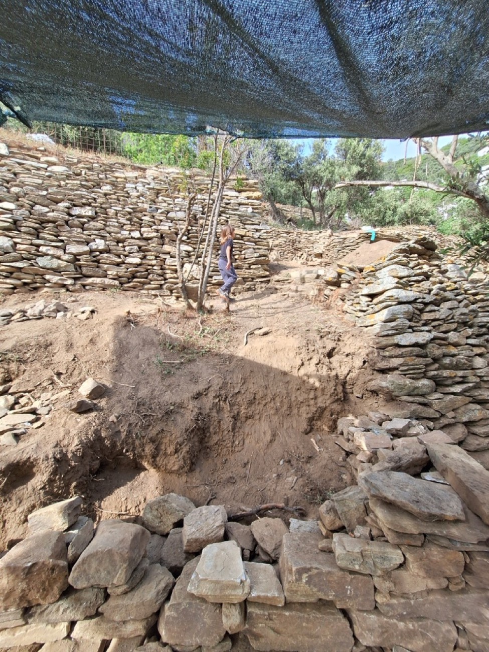 A child among restored dry-stone terraces with Ambassada Tinos