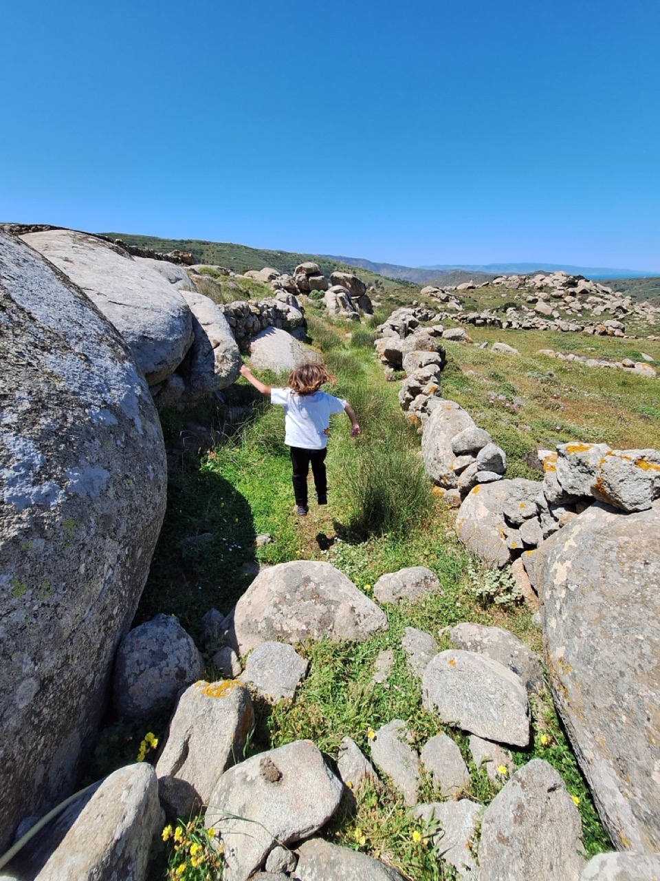 Hiking through wildflowers near stone walls